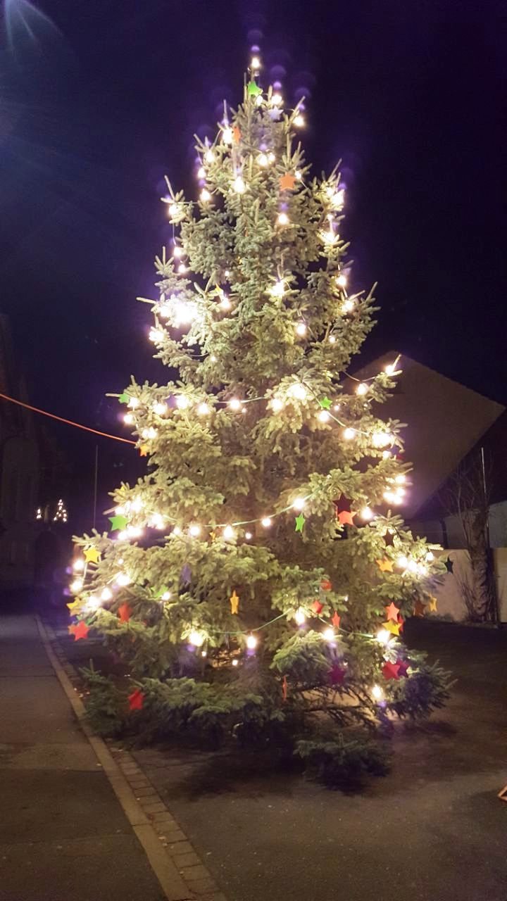 Baum