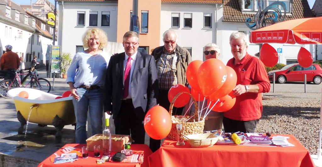 Wahlstand1 Web